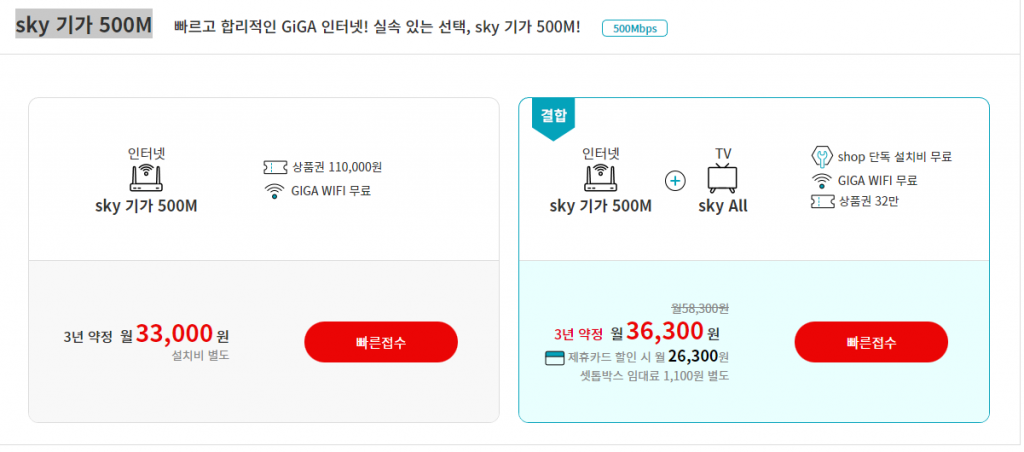 스카이라이프인터넷
