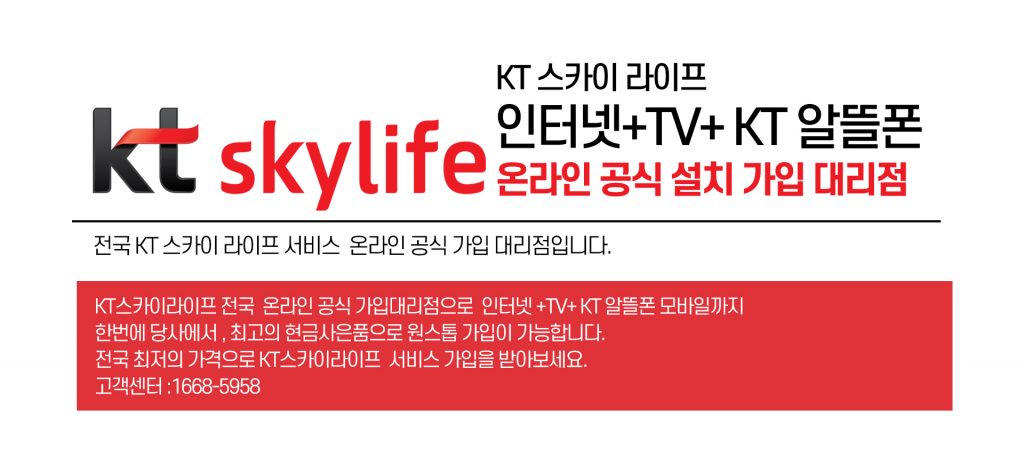 스카이 라이프 인터넷tv