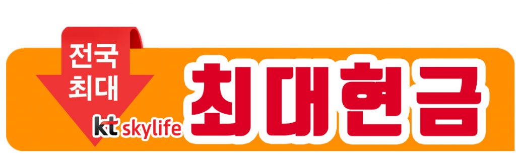 스카이 라이프 인터넷tv
